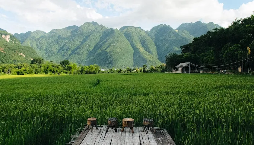 mai chau