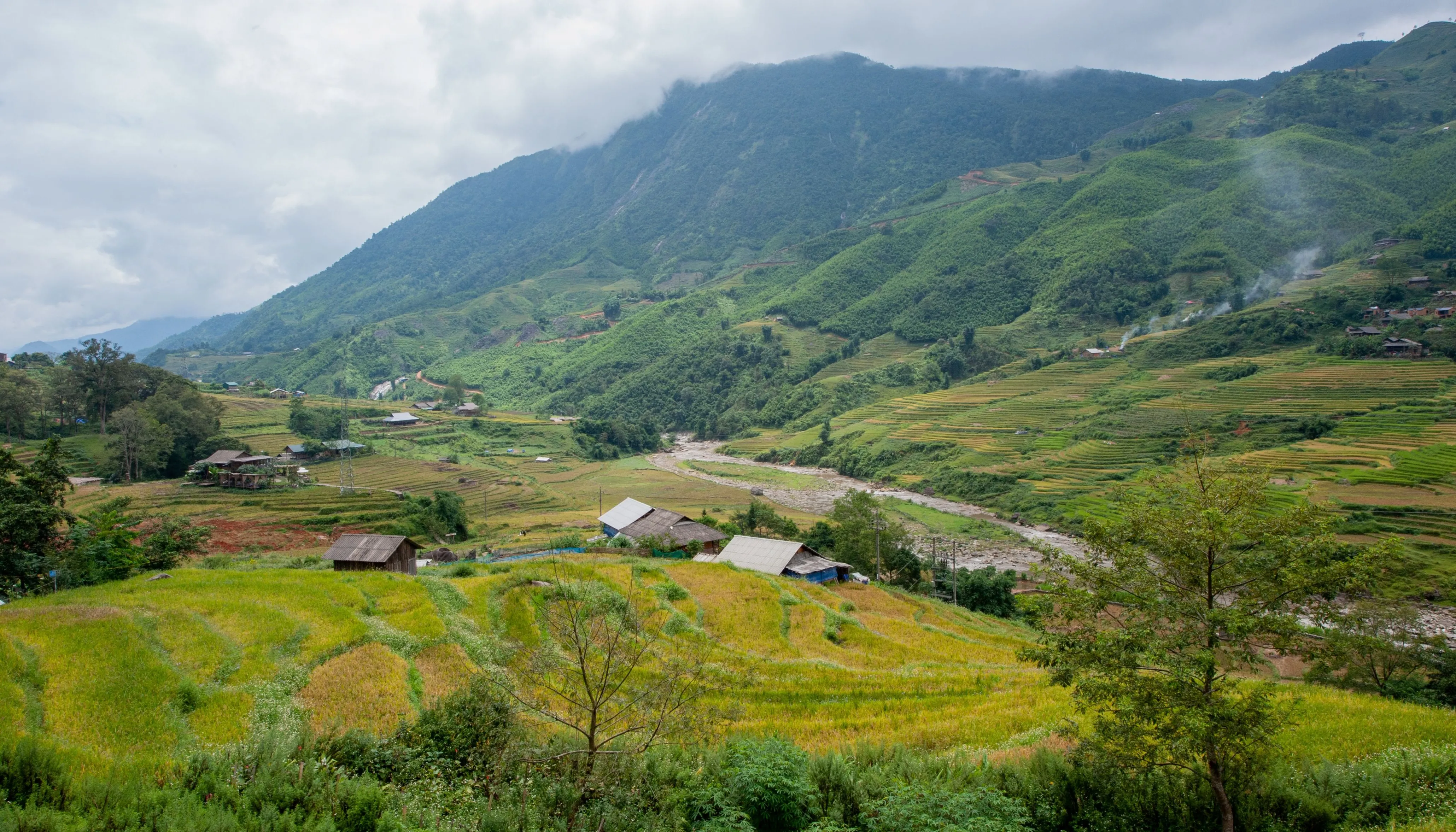 sapa