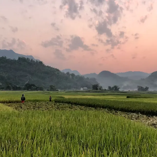 Mai Chau