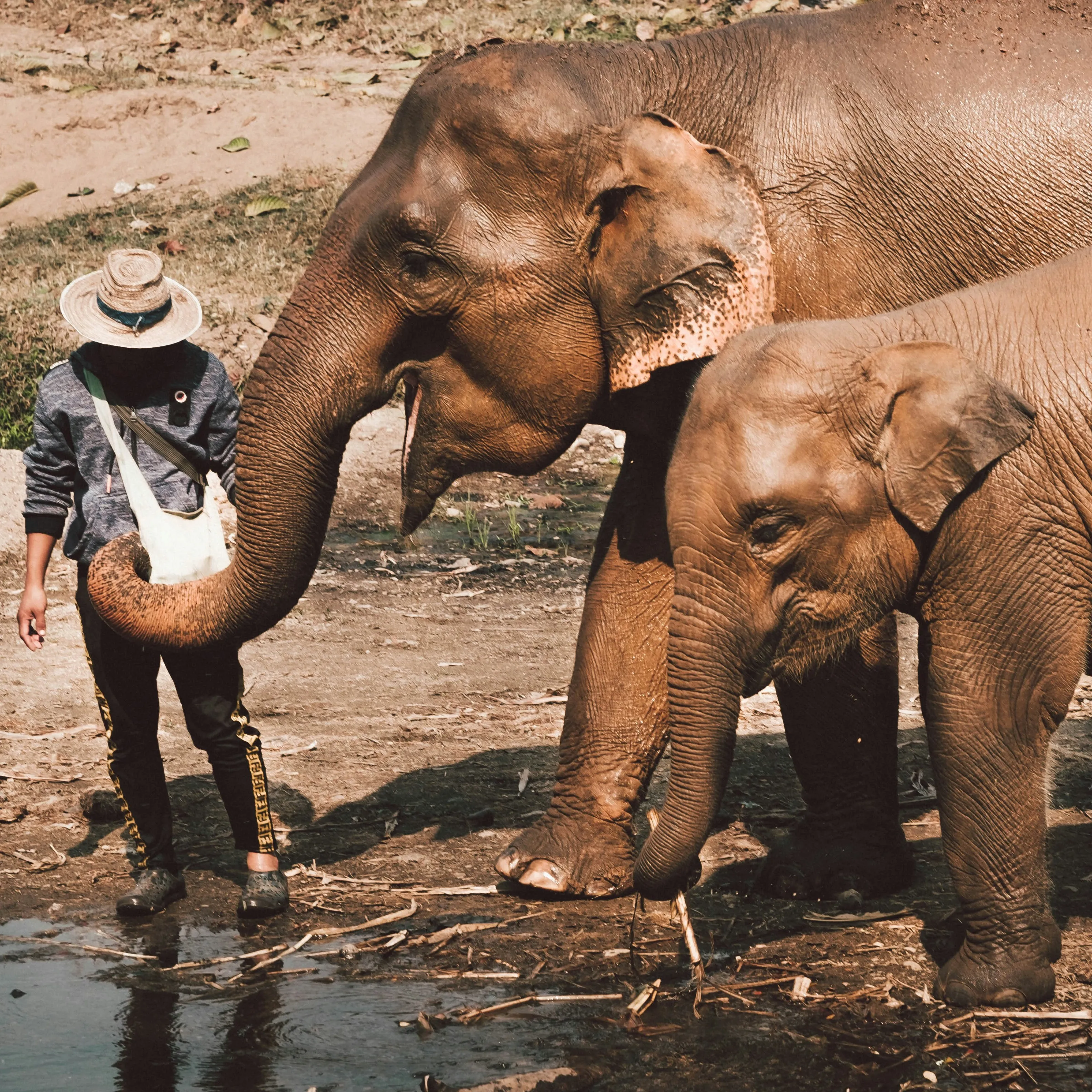 Chiang Mai