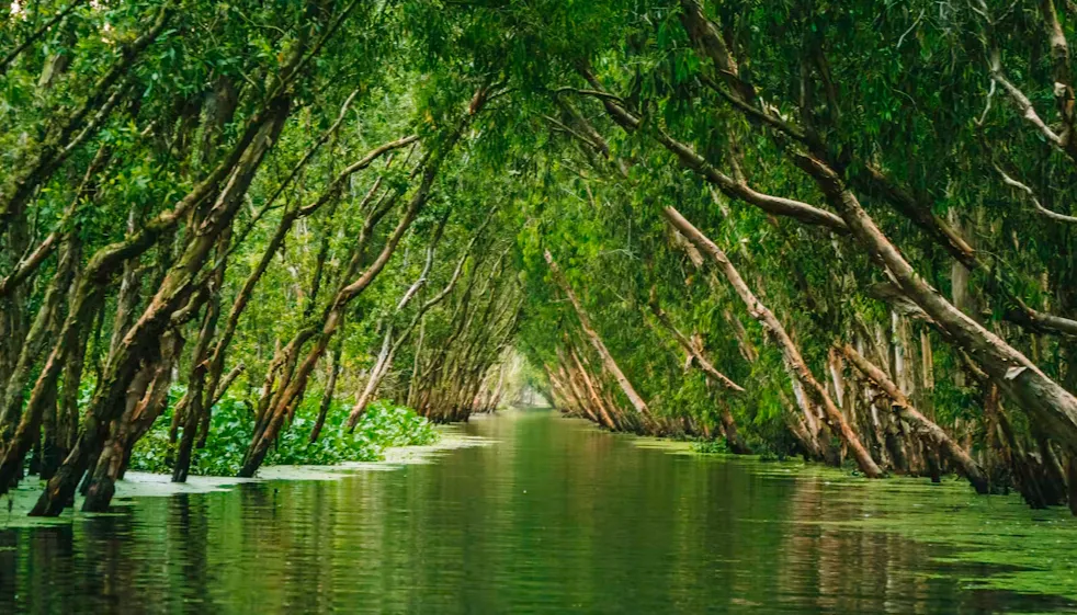 VIAJE A VIETNAM 17 DÍAS