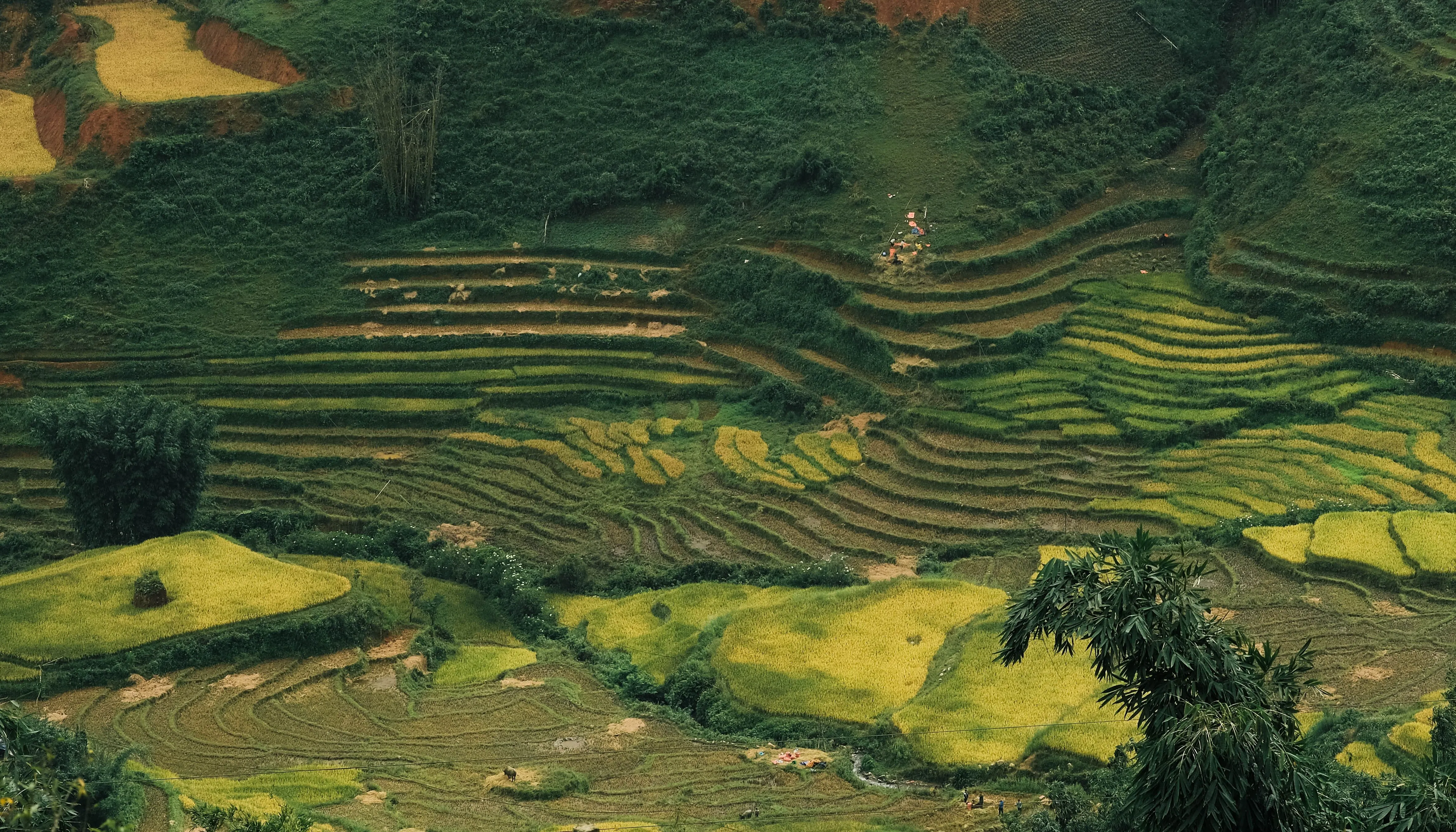 VIAJE A VIETNAM Y CAMBOYA 18 DÍAS CON SA PA